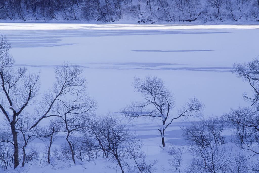 雪纷纷扬扬
