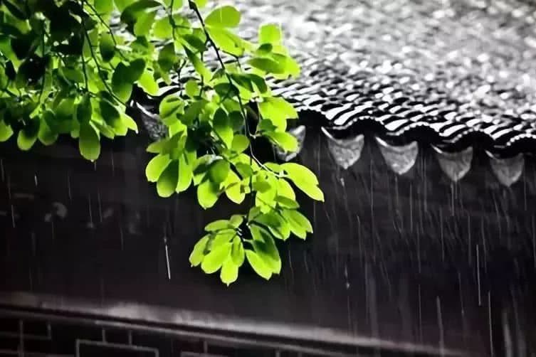 秋雨缠缠绵绵